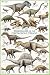Cretaceous Period Non-Laminated
