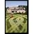 Picture Perfect: Mowing Techniques for Lawns, Landscapes, and Sports