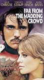 Far From the Madding Crowd