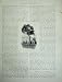 1886 Australia Great Barrier Reef Mackay Bottle-Tree