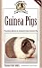 Book Guinea Pigs: Practical Advice to Caring for Your Guinea Pig (Complete Care Made Easy)