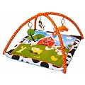 Red Kite Baby Play Gym-Farm Yard