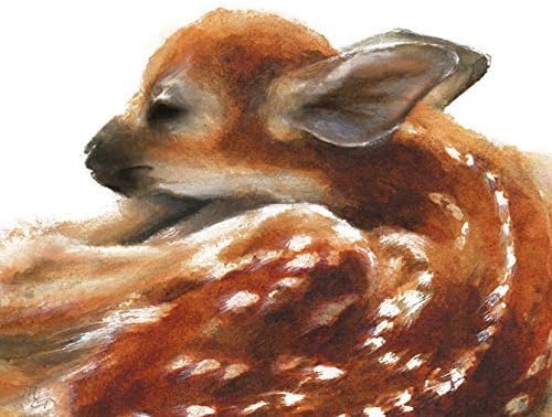 Deer Fawn Watercolor Giclee Print