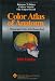 Color Atlas of Anatomy. A Photographic Study of the Human Body.