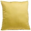 Throw Pillow, Gold