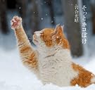 そっとネコぼけ