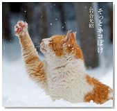 そっとネコぼけ