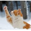 �����ƃl�R�ڂ�