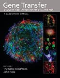 Gene Transfer: Delivery and Expression of DNA And RNA, A Laboratory Manual