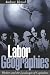 Labor Geographies: Workers and the Landscapes of Capitalism (Perspectives on Economic Change)