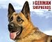 German Shepherds 2011 Wall Calendar