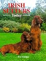 Irish Setters Today