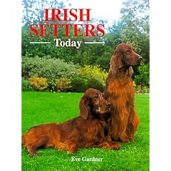 Irish Setters Today