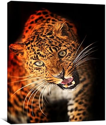 Global Artwork Posters and Prints Printed Animal Cheetah Leopard Paintings Picture Wall Art on Canvas for Living Room Home Decorations or Hotel Stretched Wooden Framed Black (16 x 20 inches)