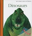 Dinosaurs (My First Discoveries)