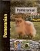 Pomeranian (Pet love)