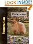 Pomeranian (Pet love)