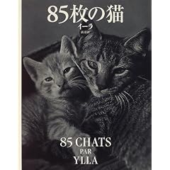 85���̔L