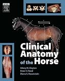 Clinical Anatomy of the Horse