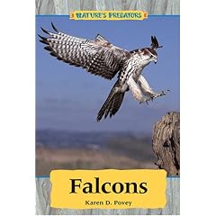 Falcons
