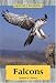 Book Nature's Predators - Falcons (Nature's Predators)