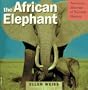 The African Elephant & Diorama (American Museum of Natural History)