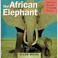 The African Elephant & Diorama (American Museum of Natural History)
