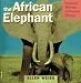 The African Elephant & Diorama (American Museum of Natural History)