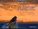 The Wild Shores of Patagonia: The Valdes Peninsula & Punta Tombo