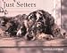Book Just Setters