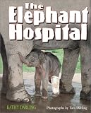 Elephant Hospital