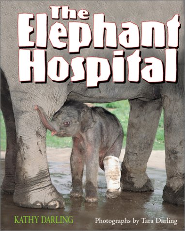 Elephants