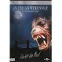 An American Werewolf in London : Two Disc 21st Anniversary Special Edition [DVD] [1981]