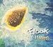 Flook, Haven