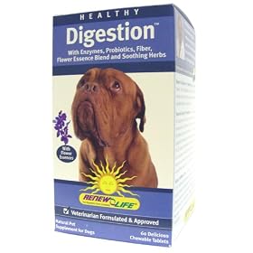 Healthy Digestion - 60 - Chewable Tablet