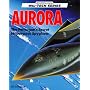 Aurora: The Pentagon's Secret Hypersonic Spyplane (Mil-Tech Series)