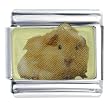 Pugster Guinea Pig Italian Charm Bracelet