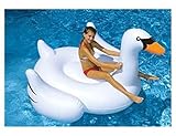 UPC 723815906212 product image for International Leisure Giant Swan | upcitemdb.com