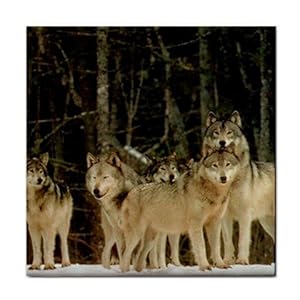 Wolf pack Ceramic Tile Coaster Great Gift Idea