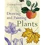 Drawing and Painting Plants