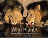 Wild planet : explore amazing animals in their natural habitats