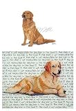 Golden Retriever (Sitting) Glass Cutting Board
