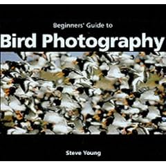An Essential Guide to Bird Photography