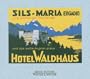 Das Waldhaus in Sils-Maria