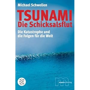 Tsunami - Die Schicksalsflut. Die Katastrophe und die Folgen für die Welt
