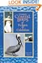 Common Coastal Birds of Florida & the Caribbean