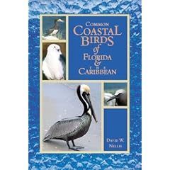 Common Coastal Birds of Florida and the Caribbean