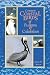 Common Coastal Birds of Florida & the Caribbean