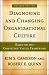 Diagnosing and Changing Organizational Culture