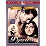Pyaasa (DVD) (Hindi Language)   [1957]